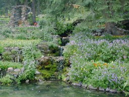 BanffFlowerGarden2_s.jpg (23588 �o�C�g)