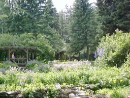 BanffFlowerGarden3_s.jpg (24666 �o�C�g)