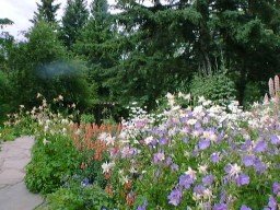 BanffFlowerGarden4_s.jpg (23965 �o�C�g)