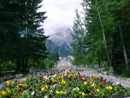BanffFlowerGarden5_s.jpg (21516 �o�C�g)