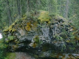 BanffJohnstonCanyon5_s.jpg (19787 �o�C�g)