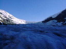 IceFieldParkwayAthabascaGlacier2_s.jpg (10778 �o�C�g)