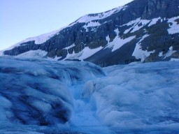 IceFieldParkwayAthabascaGlacier4_s.jpg (14019 �o�C�g)