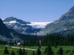 IceFieldParkwayBowGlacier_s.jpg (12763 �o�C�g)