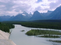 IceFieldParkwayGoatOverlook_s.jpg (11813 �o�C�g)
