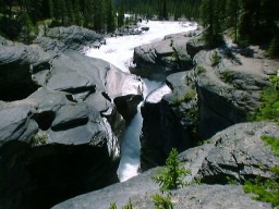 IceFieldParkwayMistayaCanyon2_s.jpg (18772 �o�C�g)