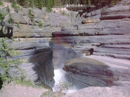 IceFieldParkwayMistayaCanyon3_s.jpg (18406 �o�C�g)