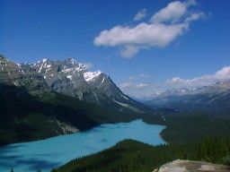 IceFieldParkwayPaytoLake1_s.jpg (11269 �o�C�g)
