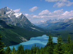 IceFieldParkwayPaytoLake2_s.jpg (14640 �o�C�g)