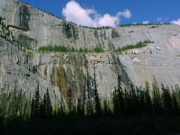 IceFieldParkwayWeepingWall1_s.jpg (17433 �o�C�g)