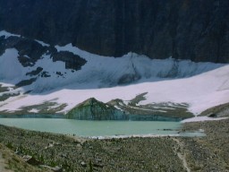 JasperMtEdithCavellGlacier_s.jpg (14590 �o�C�g)