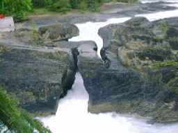YohoNaturalBridge1_s.jpg (17259 �o�C�g)