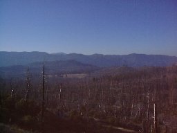 19981018yosemite14.jpg (35685 oCg)