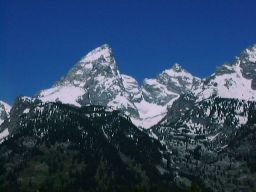 teton5.jpg (10467 oCg)